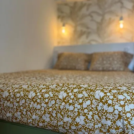 D'architecte Superieur - Centre Historique Ajaccio (Corsica)