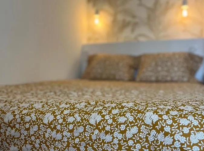 D'architecte Superieur - Centre Historique Ajaccio (Corsica)